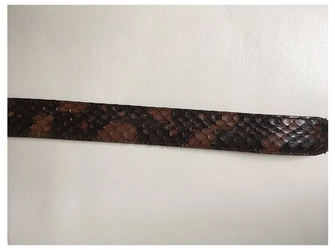 Autre Marque Reptil's House Castaño 