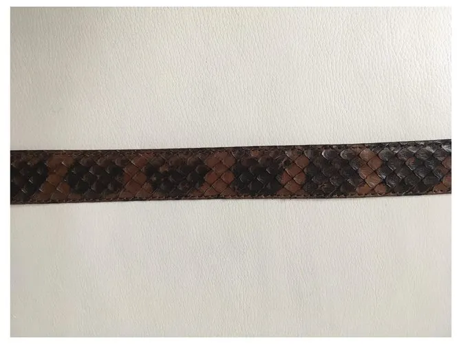 Autre Marque Reptil's House Castaño 