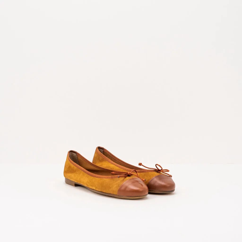 BAILARINA  SEIALE  HOSTE CAMEL