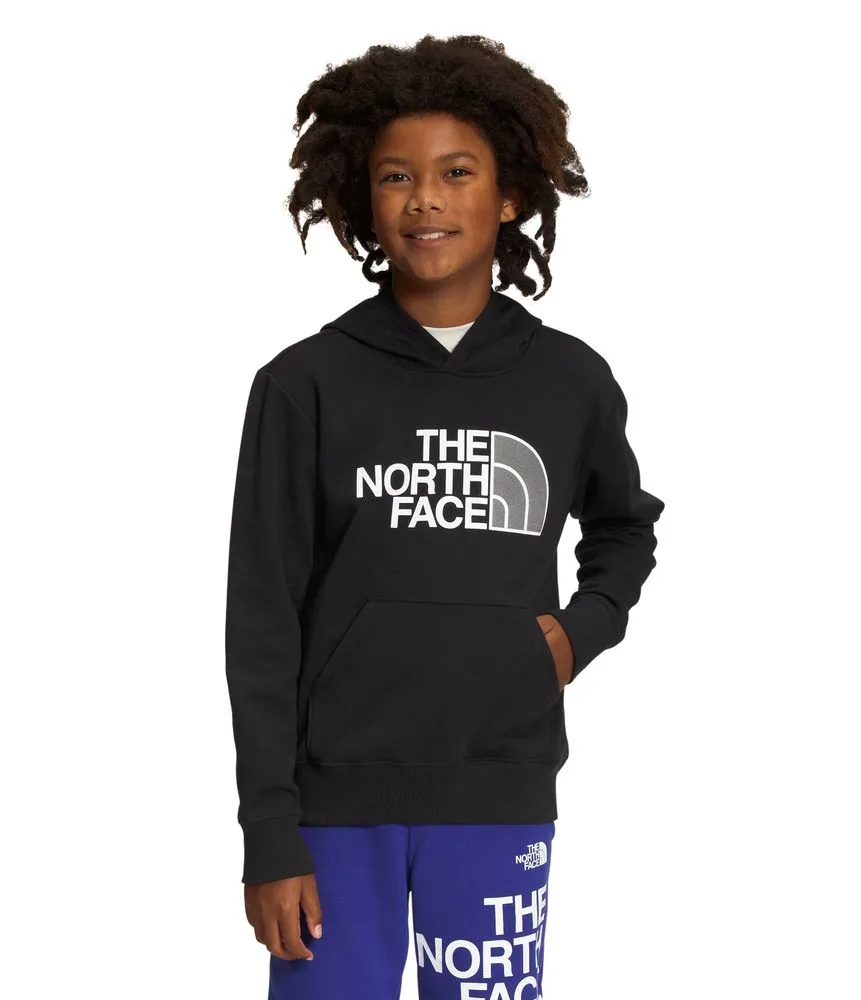 Buzo Camp Fleece P/O Deportivo Negro Niño The North Face
