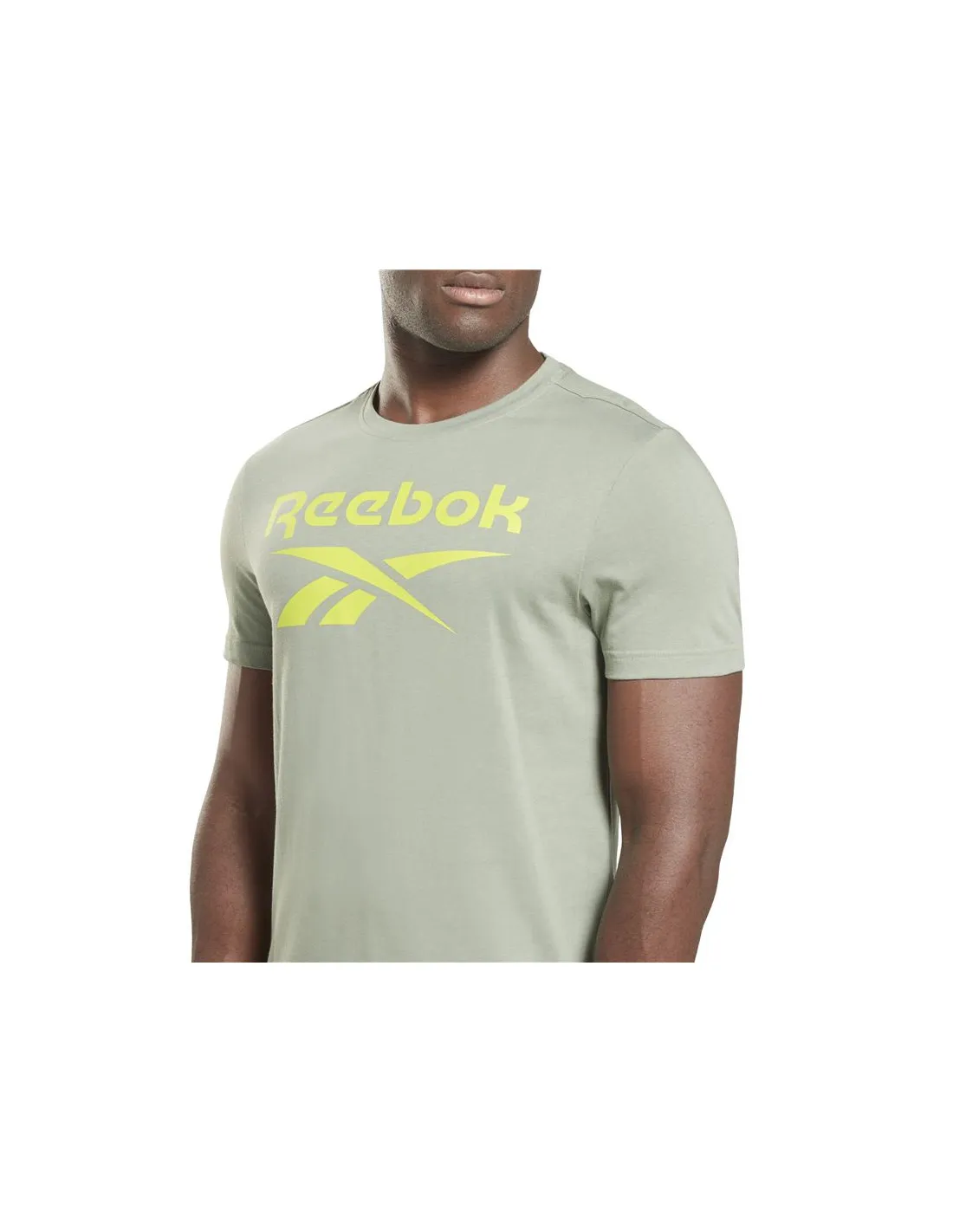 Camiseta Reebok Identity Big Logo Hombre