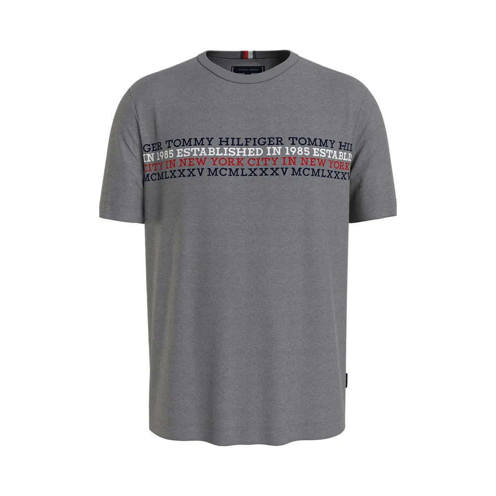 CAMISETA TOMMY HILFIGER MW0MW32618 P91