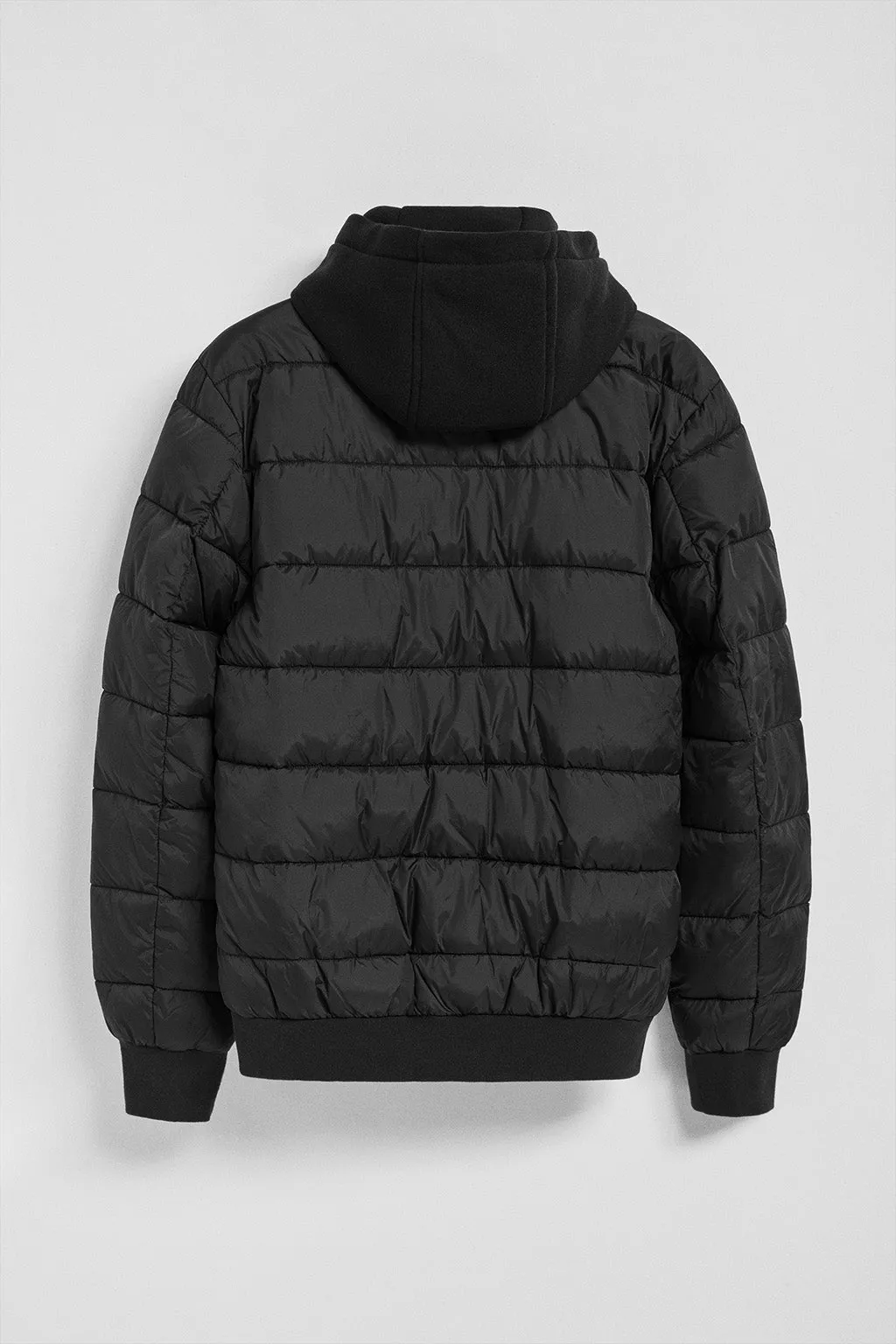 Chaqueta acolchada negra Canyon con detalles Polo Club