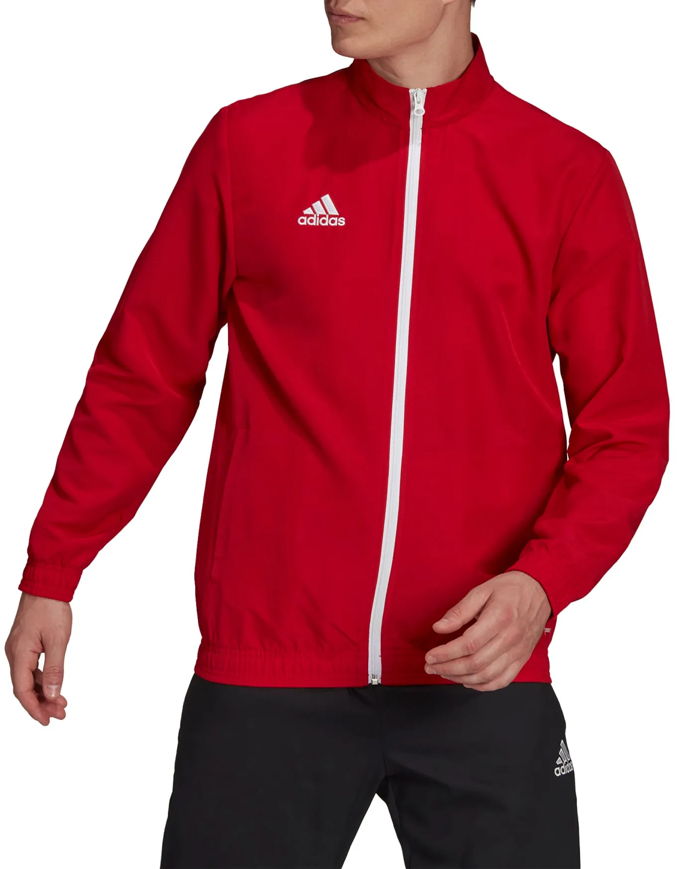 Chaqueta adidas ENT22 PRE JKT