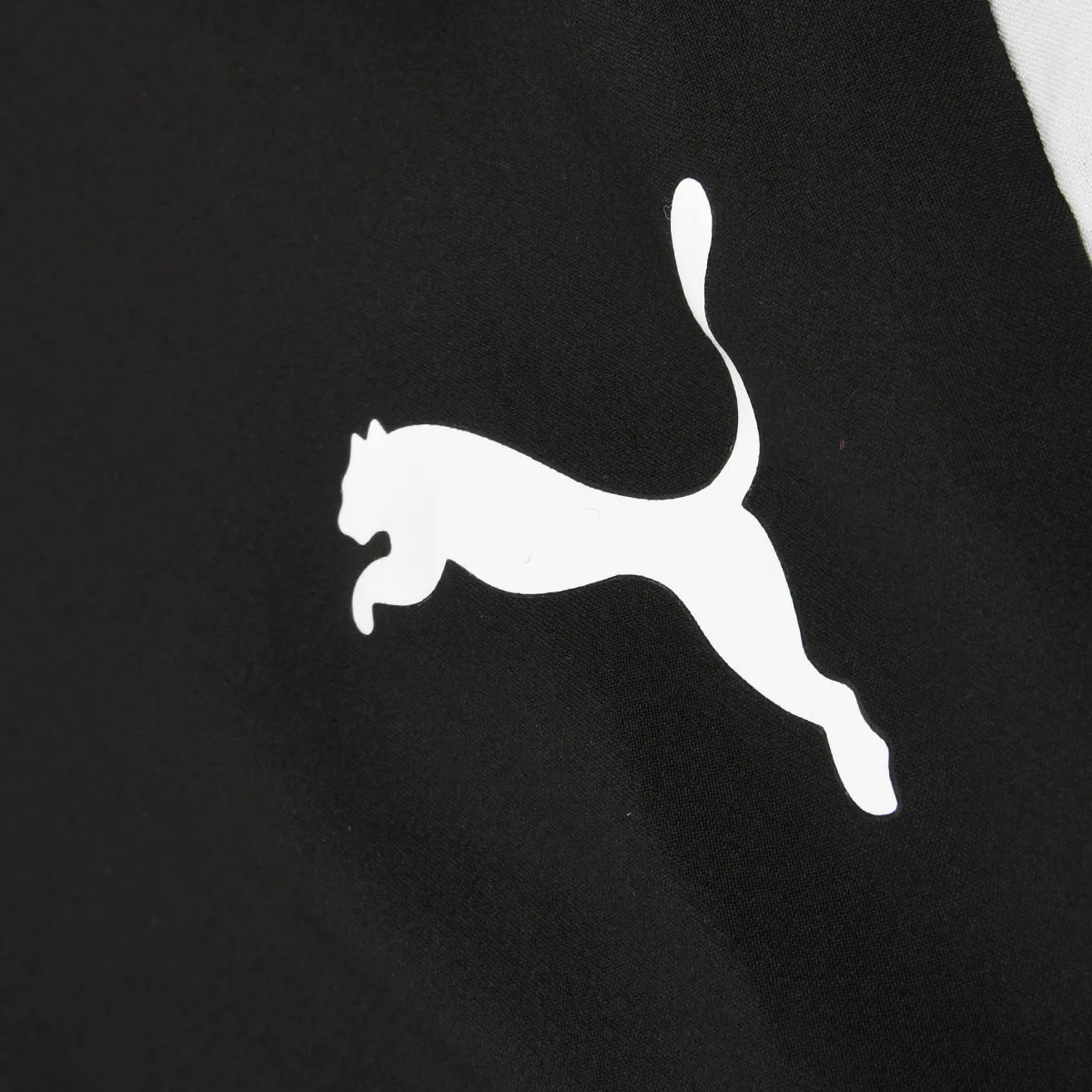 Conjunto Entrenamiento Puma  Favorite Hombre