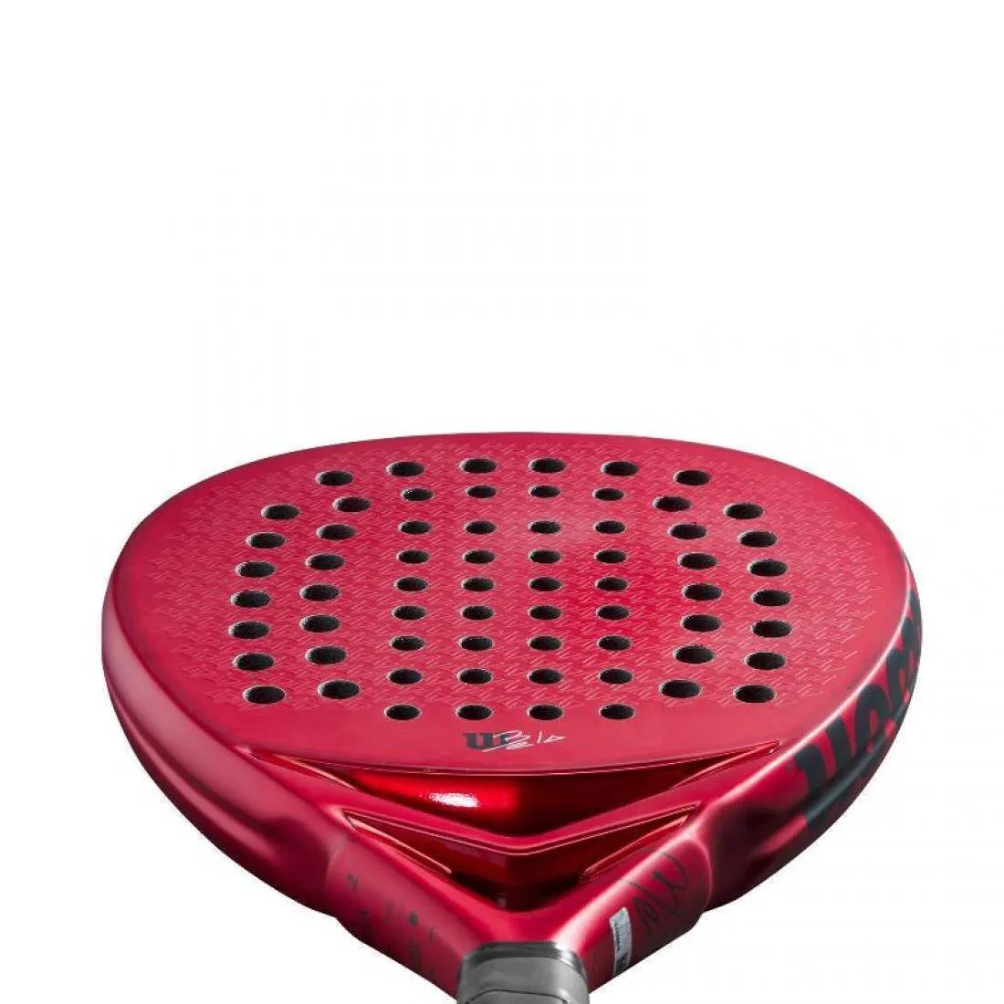 Pala Wilson Bela Pro V2 2023 | Wilson